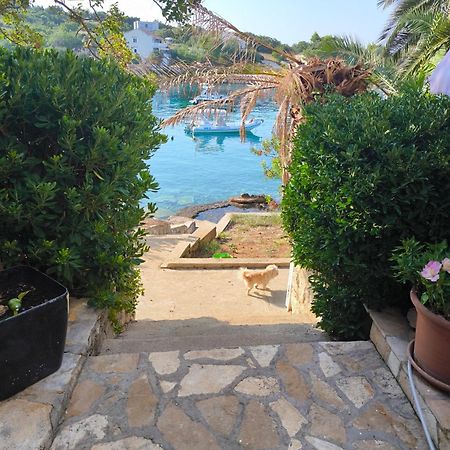 Apartments Anica Beber Borovići Dış mekan fotoğraf