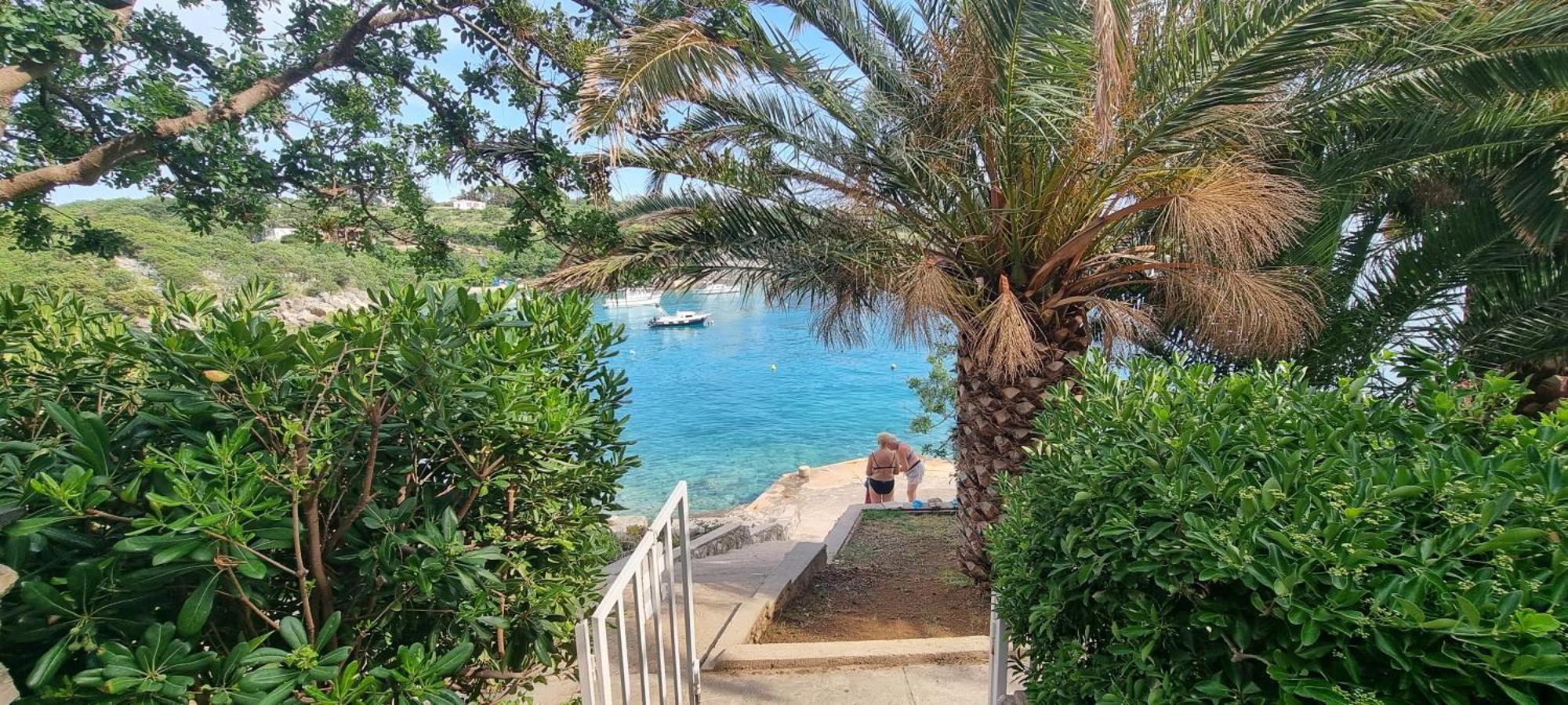 Apartments Anica Beber Borovići Dış mekan fotoğraf