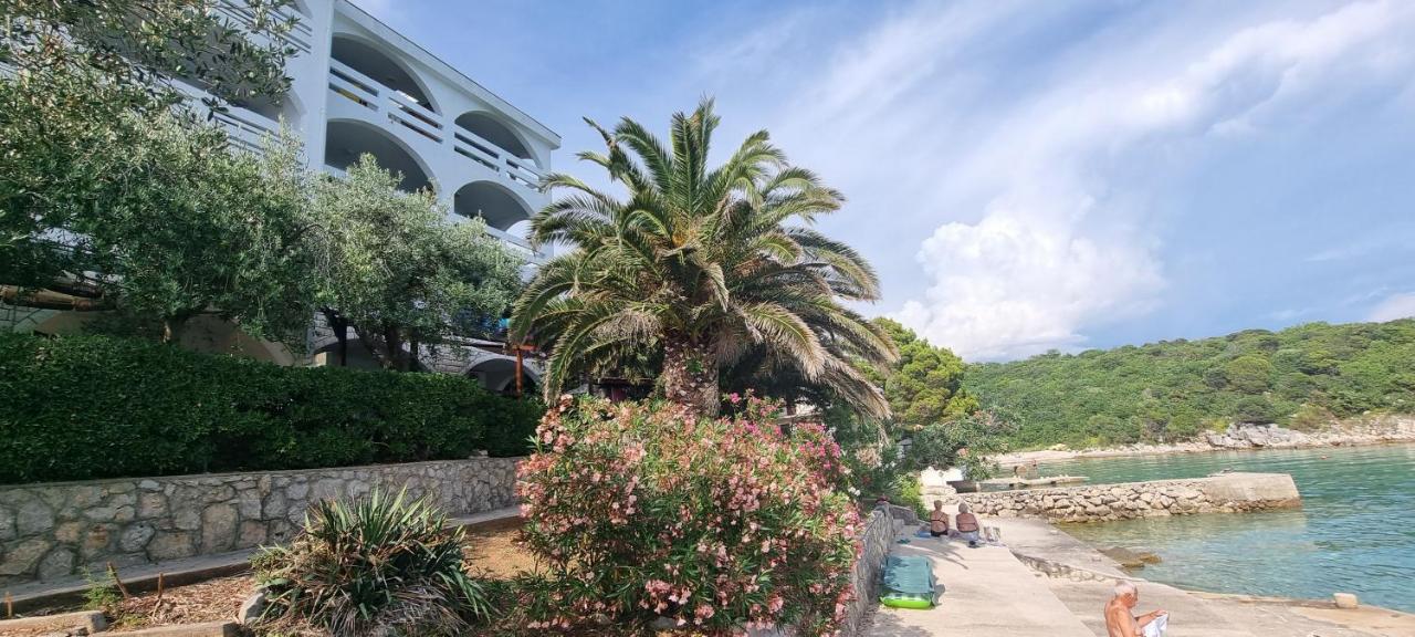 Apartments Anica Beber Borovići Dış mekan fotoğraf