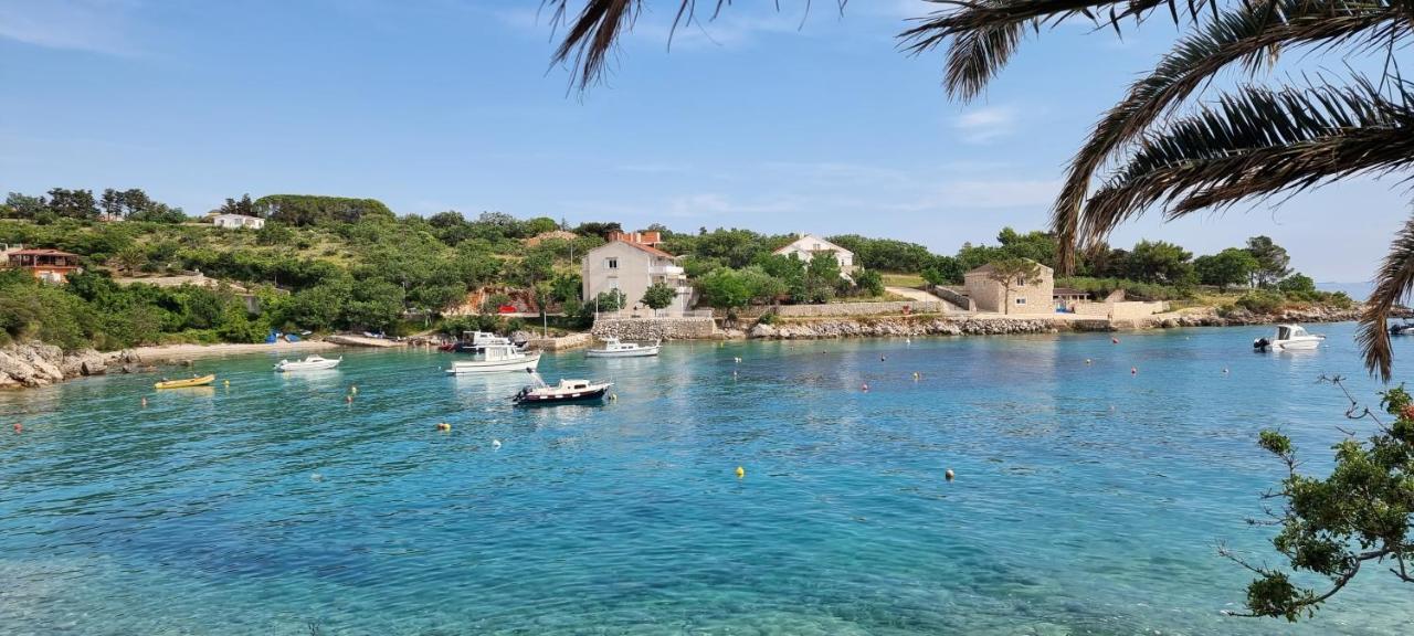 Apartments Anica Beber Borovići Dış mekan fotoğraf