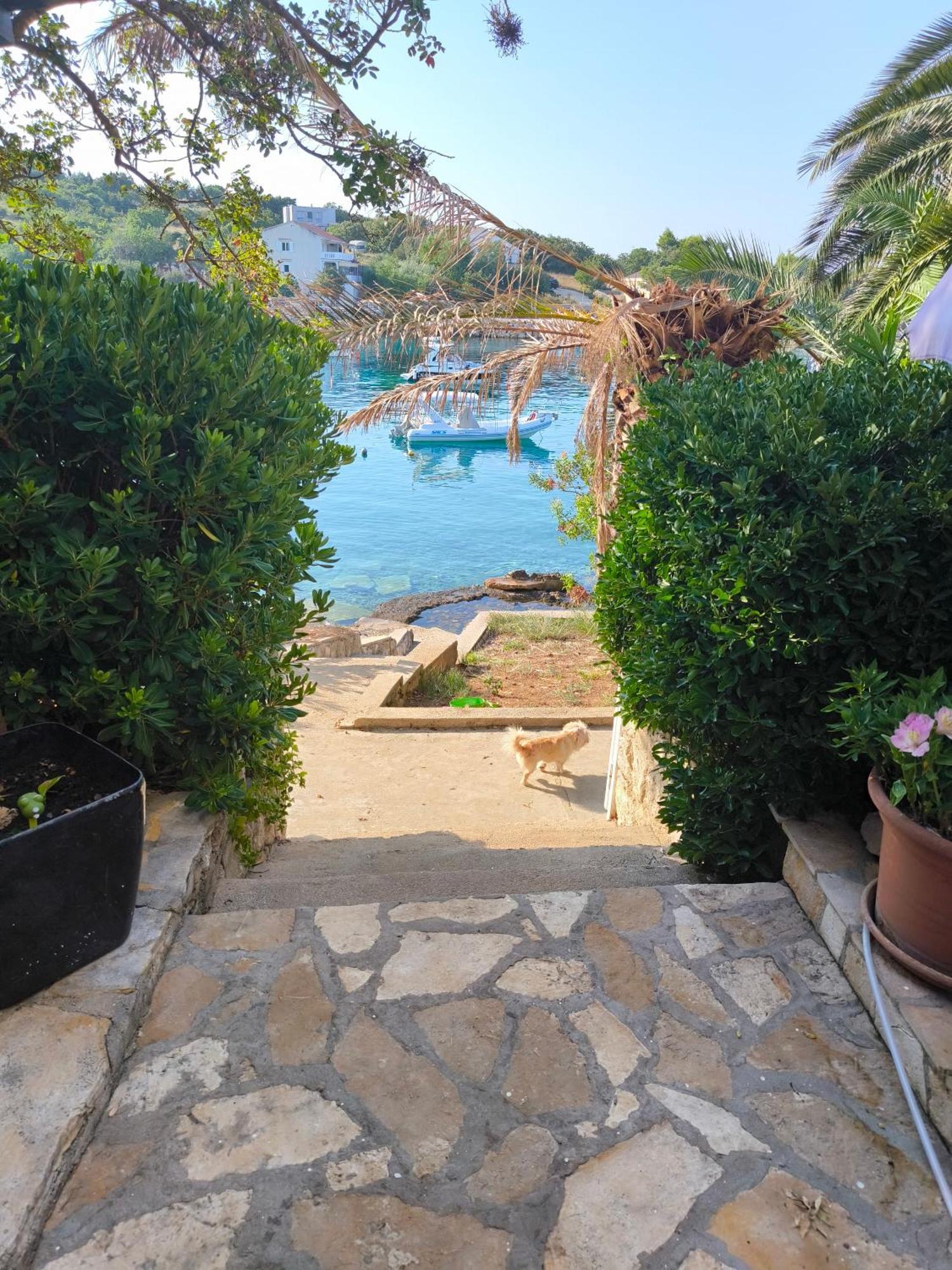 Apartments Anica Beber Borovići Dış mekan fotoğraf