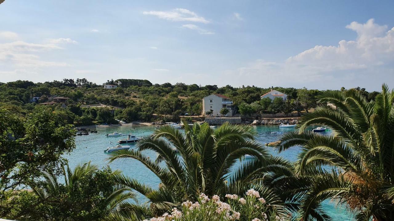 Apartments Anica Beber Borovići Dış mekan fotoğraf